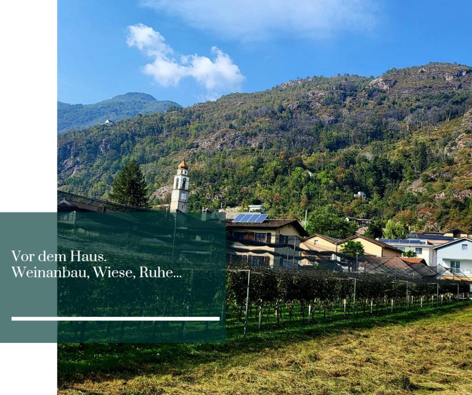 Traum Ferienwohnung Am Strand Im Tessin - Nur 3Km Von Ascona Oder Locarno Entfernt Tegna Buitenkant foto